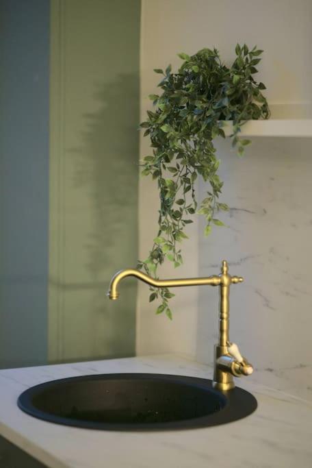 Royal Room Jacuzzi Haut De Gamme Centre Ville Мюлуз Екстериор снимка