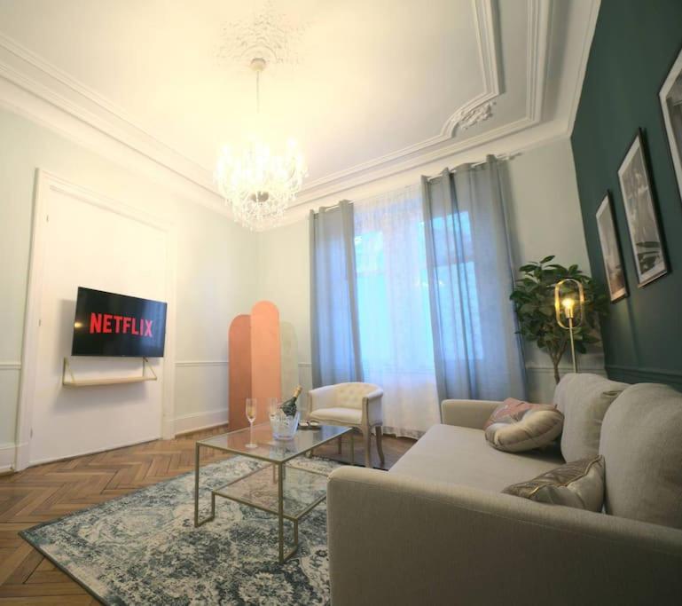 Royal Room Jacuzzi Haut De Gamme Centre Ville Мюлуз Екстериор снимка