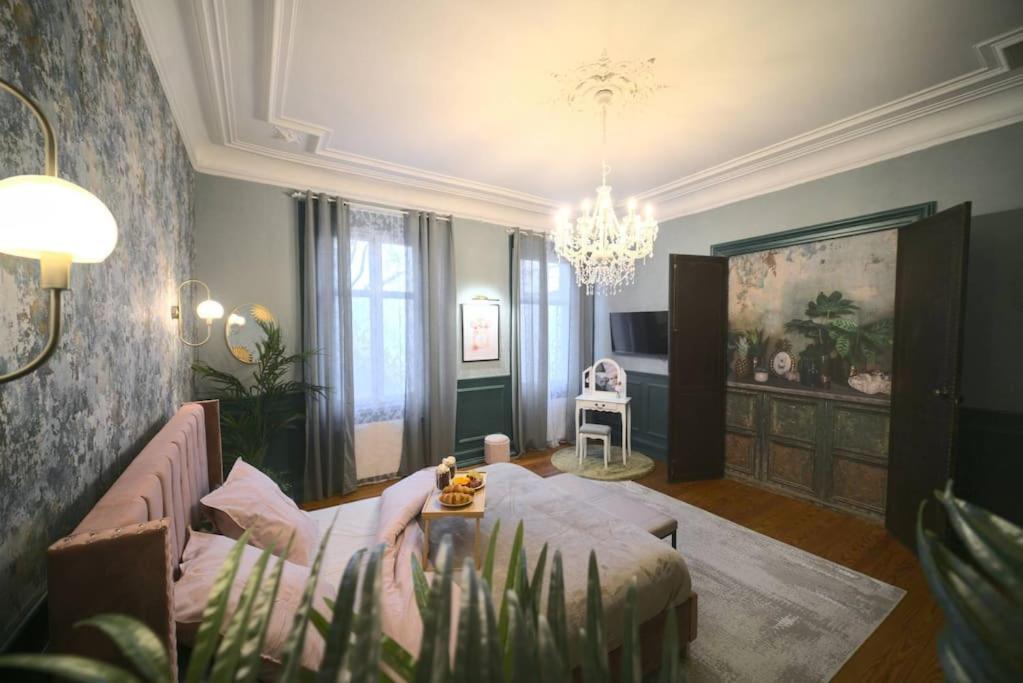 Royal Room Jacuzzi Haut De Gamme Centre Ville Мюлуз Екстериор снимка